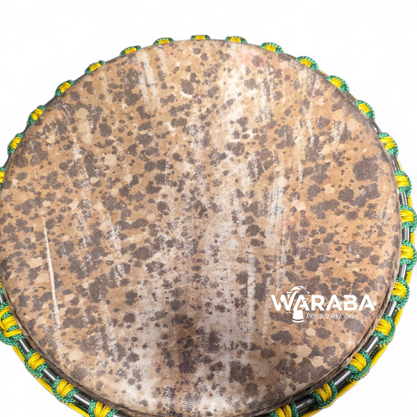 Djembe Guinea Kolokolo Ko-1432