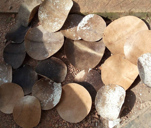 Cow Skin Rounds 22"