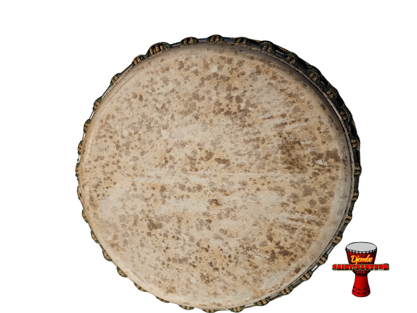 Pro Guinea Djembe