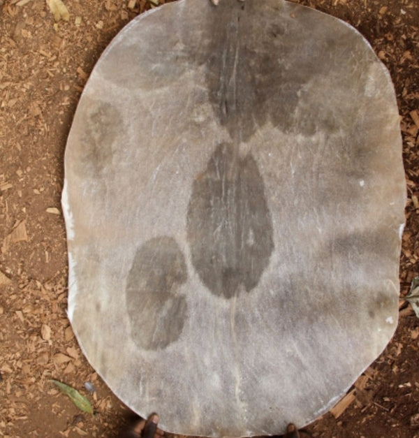 Very thick shaved goat skins