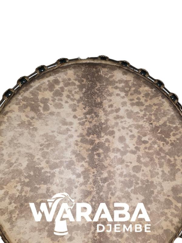 Djembé  Guinea . K1390