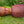 Djembe Guinea khadi kh-137535