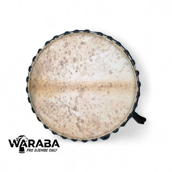Djembe Guinea KH-142712